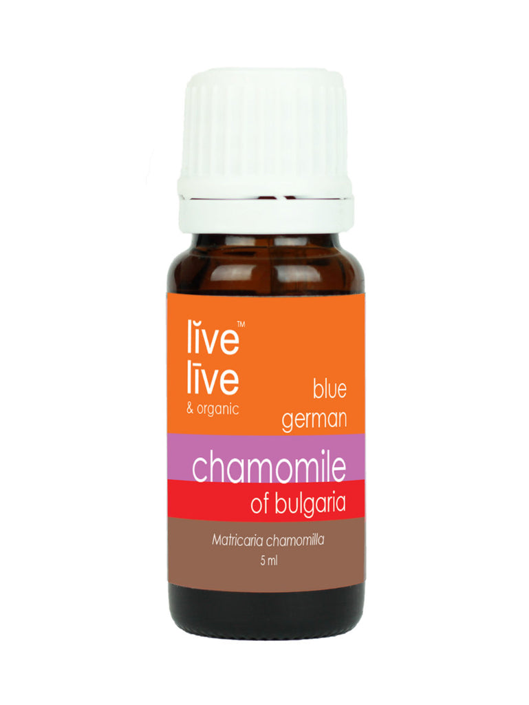 Blue Chamomile of Bulgaria Essential Oil, Matricaria chamomilla, 5ml, Live Live & Organic