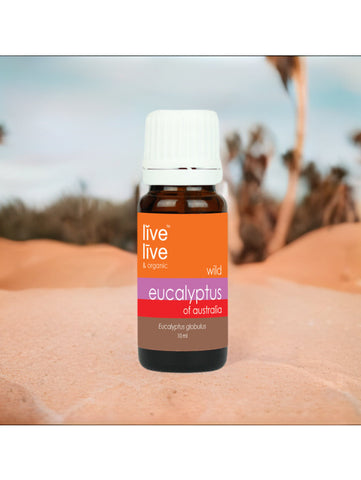 Eucalyptus of Australia Essential Oil, Eucalyptus globulus, 10ml, Live Live & Organic, Lifestyle