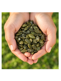 Hands holding austrian pumpkin seeds