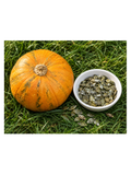 austrian pumpkin seeds in a bowl next to a pumpkin