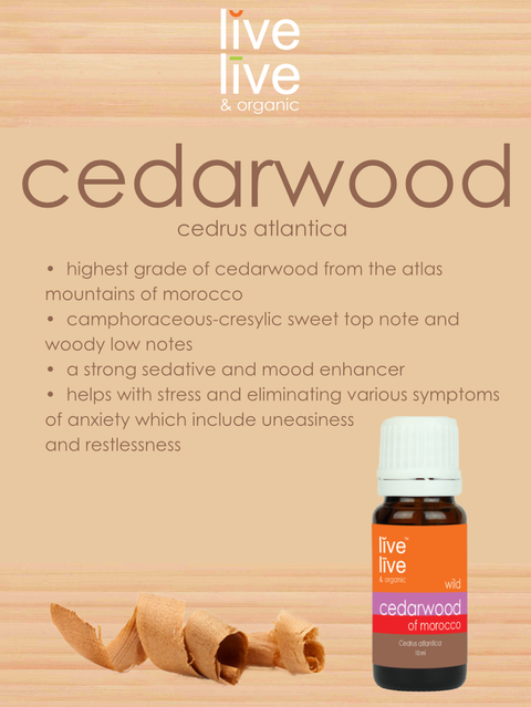 "Good Night" Essential Oil Bundle