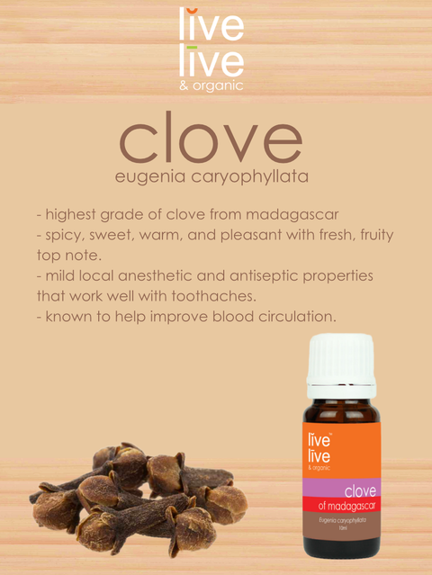 clove of madagascar essential oil, eugenia caryophyllata, 10ml, live live & organic, info graphic