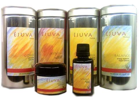 ejuva intestinal cleanse kit