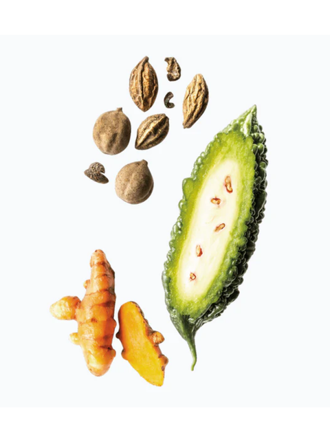 A botanical-style composition showing a sliced green bitter melon, several brown seeds or nuts, and two orange-yellow ginger roots on a plain white background.