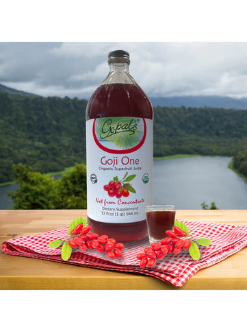 Goji One Organic SuperFruit Juice, Gopal's HealthFoods, 32oz, Lifestyle