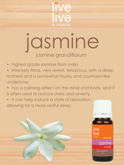 jasmine absolute of india essential oil, jasmine grandiflorum, 5ml, live live & organic