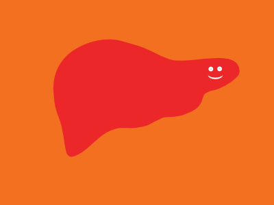 liver health collection image using brand colors