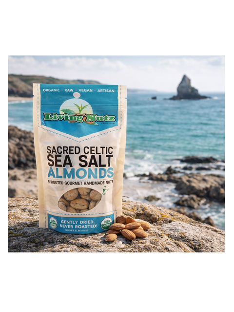 Sacred Celtic Sea Salt Almonds, Organic & Sprouted, Living Nutz, on a rock by the sea