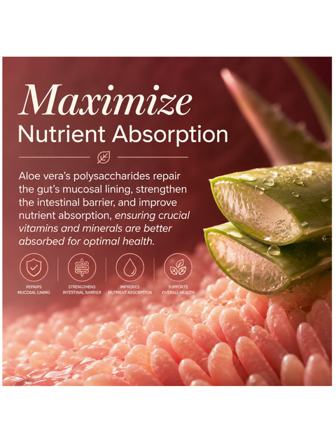 Aloe Vera, Digestive Health, 60 Caps, Global Healing