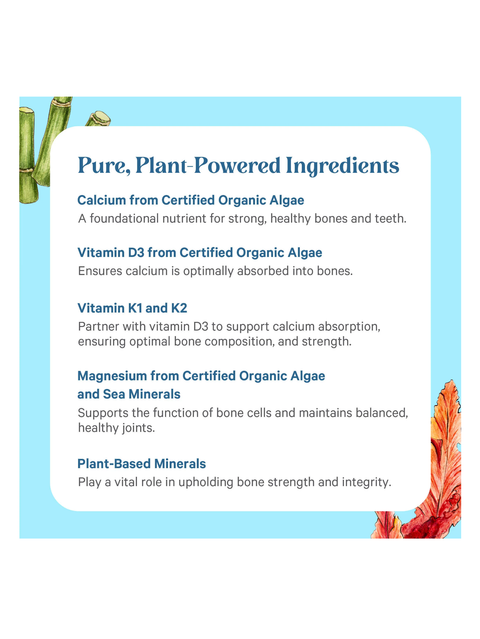 Bone Renewal, 150 Veg Caps, Pure Synergy