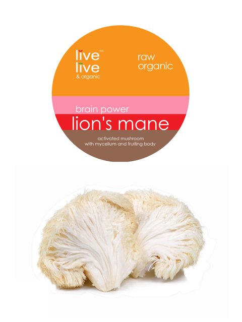 lion's mane mushroom extract, brain power, 1oz, live live & organic