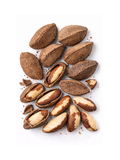 Brazil Nuts, Sprouted, 8oz, Blue Mountain Organics in shell