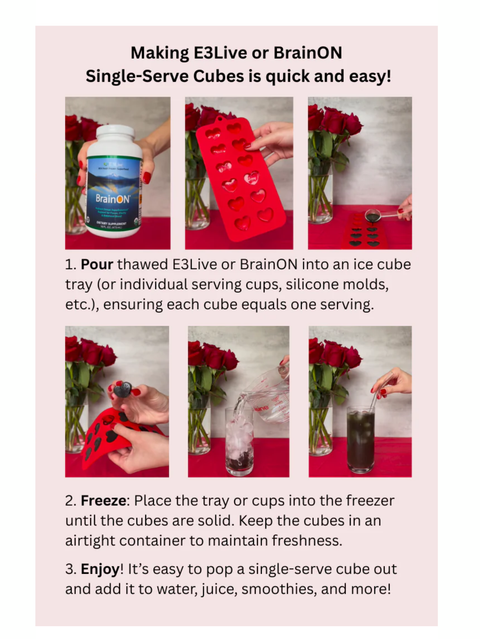 Instructions for making E3Live or BrainON single-serve cubes with images and text.