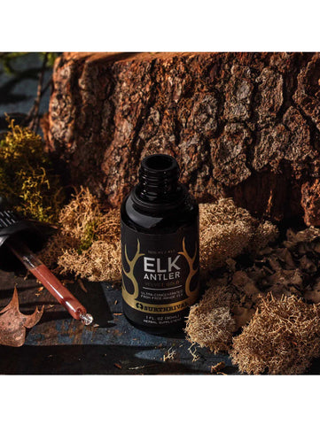 Elk Antler Velvet, Gold, Surthrival, Lifestyle