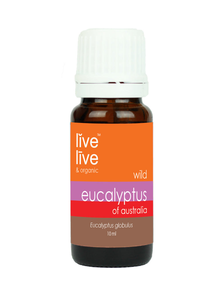 Eucalyptus of Australia Essential Oil, Eucalyptus globulus, 10ml, Live Live & Organic