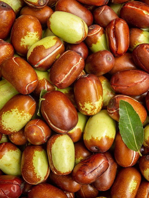 jojoba nuts