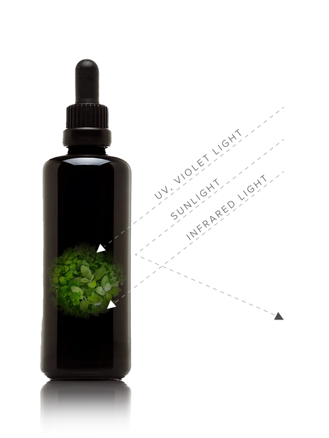 Black dropper bottle with green liquid labeled for different light types on a white background