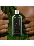Dr. Alkaitis organic herbal shampoo bottle held between green leaves