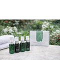 Set of Organic Skin Care Travel Kit, Dr Alkaitis on a surface with a blurred natural background