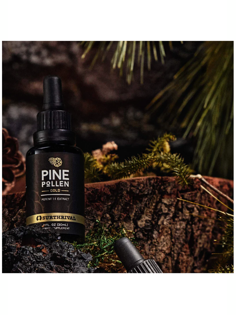 Bottle of Pine Pollen Gold on a wooden background with pine needles.