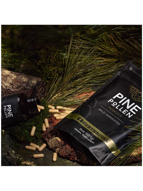 Pine Pollen, Powder, Surthrival, in the woods