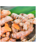 Image of Turmeric