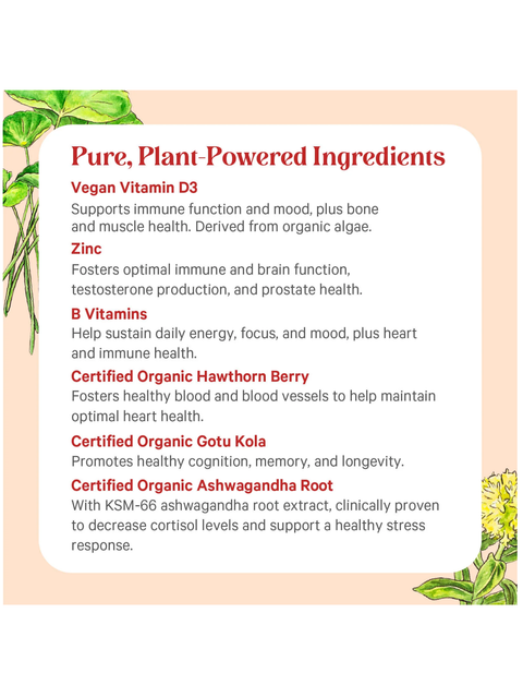 List of pure, plant-powered ingredients with descriptions on a beige background for vita min herb for men by pure synergy