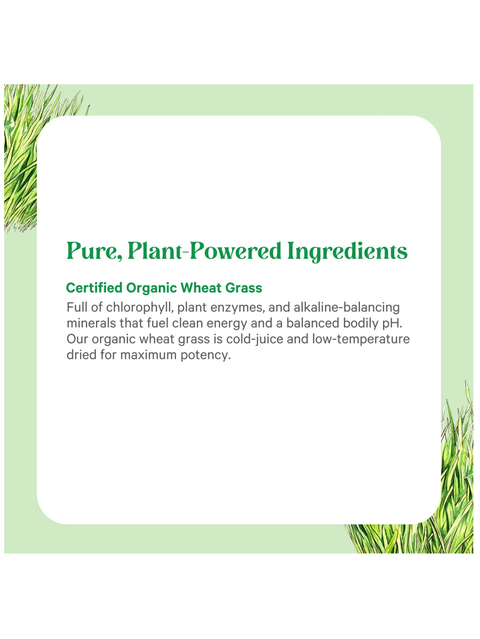 Certified Organic Wheat Grass label with green text on a white background