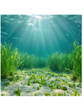 Underwater scene with sunlight filtering through water and grass-like plants on a sandy bottom.