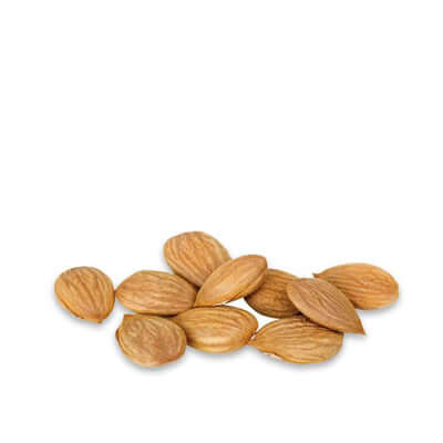 Apricot Kernels, Sprouted, 6.5oz, Blue Mountain Organics